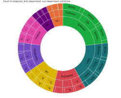 Sunburst data visualization